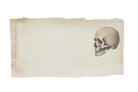 Adhesive tape is stuck on a skull ephemera collage drawing sketch paper.