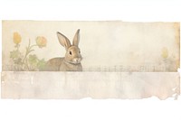 Adhesive tape is stuck on rabbit ephemera collage painting animal mammal.