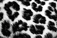 Abstract animal skin leopard seamless pattern backgrounds mammal black.