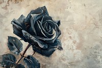 Close up on pale black rose painting backgrounds flower.