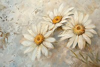 Close up on pale daisys painting backgrounds pattern.