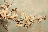 Close up on pale sakura painting blossom flower.