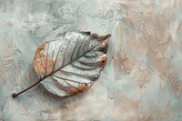 Close up on pale leaf backgrounds painting plant.