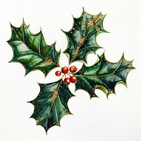 Ink painting of holly leaf emphasize with gold glitter in object accessories accessory outdoors.