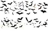 Bats wildlife animal flying.