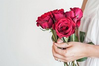 Woman hands holding roses flower plant inflorescence.