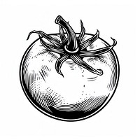 Tomato drawing sketch fruit.