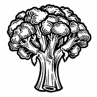 Broccoli vegetable drawing sketch.