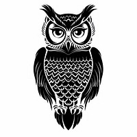 Owl black bird white background.