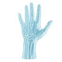 Hand icon anatomy medical white background.