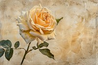Yellow rosa painting backgrounds flower.