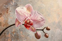 Pink orchid flower painting blossom petal.