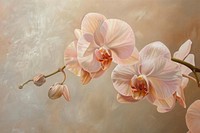 Pink orchid flower painting plant inflorescence.