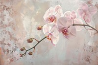 Close up on pale orchid flower painting blossom plant.
