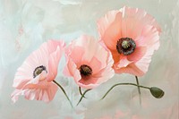 Close up on pale pink poppy flowers painting petal plant.