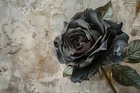 Black rosa backgrounds painting flower.