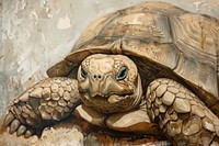 Tortoise painting reptile animal.