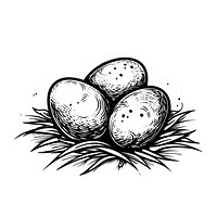 Eggs drawing sketch illustrated.