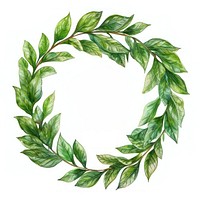 Leave wreath plant green leaf.