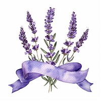 Ribbon with lavender border flower purple plant.