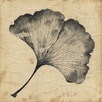Japanese wood block print illustration of ginkgo leaf drawing sketch paper.