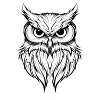 Owl drawing sketch illustrated.