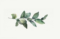 minimal and simplified, watercolor illustration of *minimal leafs* , children's book ,minimal, illustrations, isolate illustration on paper --ar 3:2