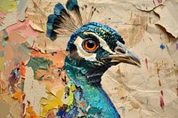 Peafowl bird art painting collage.