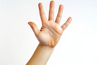 Hand raising 5 fingers white background gesturing touching.