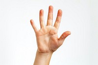 Hand raising 5 fingers white background gesturing touching.