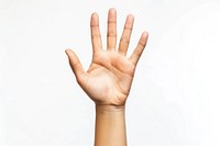 Hand raising 5 fingers with a hand raising 2 fingers white background gesturing touching.