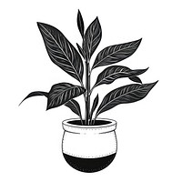 Plant drawing sketch black.