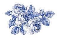 Vintage drawing china rose flowers pattern sketch plant.