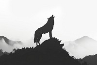 Wolf howling on mountain silhouette backlighting animal coyote.