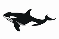 Killer whale silhouette stencil animal mammal.
