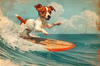 Dog surfboard surfing animal.