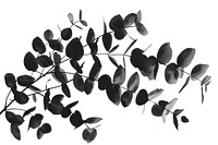 Eucalyptus silhouette clip art plant leaf vine.