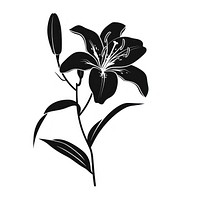 Lily silhouette clip art lily blossom stencil.