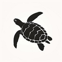 Sea turtle tortoise reptile animal.