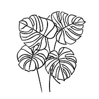 Monstera illustrated chandelier drawing.