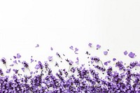 Lavanders confetti border lavender blossom purple.