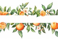 Ribbon oranges fruit banner grapefruit produce plant.
