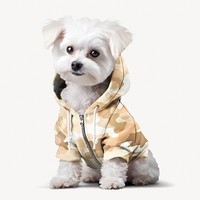 White dog in camouflage zip up hoodie