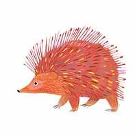 Cute hedgehog animal illustration