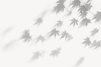 Wall architecture shadow plant. AI generated Image by rawpixel.