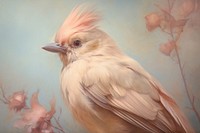 Close up pale lovely bird painting cardinal chicken.