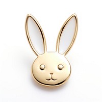 Brooch of bunny accessories accessory jewelry.