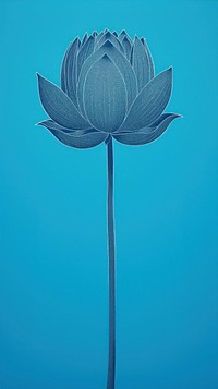 Lotus blossom flower plant.