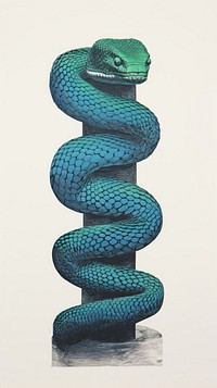 Snake reptile spiral animal.