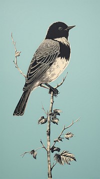 Bird blackbird agelaius sparrow.